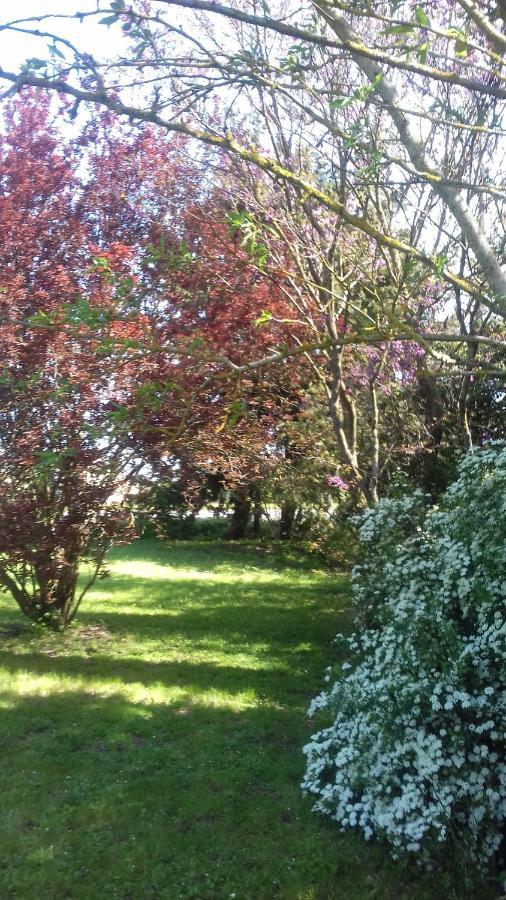 La Madeleine Bed & Breakfast Pezens Exterior foto