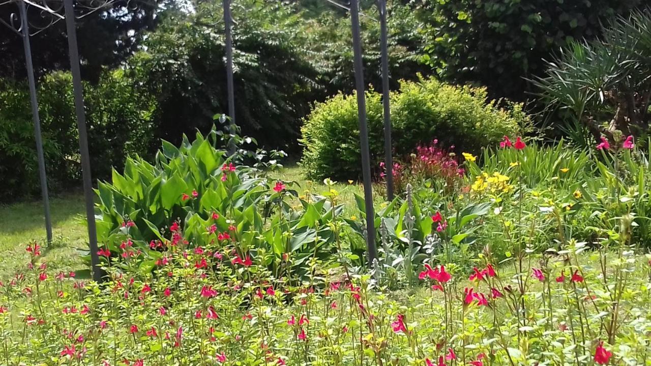 La Madeleine Bed & Breakfast Pezens Exterior foto